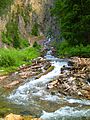 Wyoming's Periodic Spring seen from the bottom