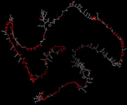 Phosvitin structure adapted from vitellogenin AlphaFold (AF-P02845-F1; residues 1112-1328) with serine residues highlighted in red. Visualized using ChimeraX. Phosvitin.png