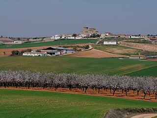 Pinarejo municipality in Castile-La Mancha, Spain