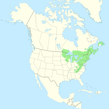 File:Pinus strobus range map.svg