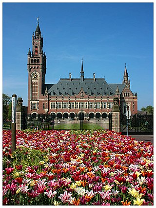 <span class="mw-page-title-main">Peace Palace Library</span> Collection of studies in international law in The Hague, Netherlands