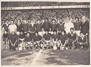 <span class="mw-page-title-main">1973 Torneo Descentralizado</span> Football league season