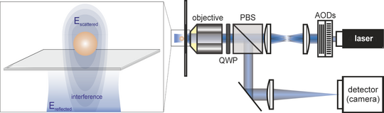 Principle of iSCAT detection and basic iSCAT setup. AODs, acousto-optic deflectors; PBS, polarizing beam splitter; QWP, quarter-wave plate.