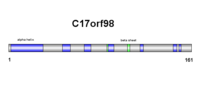 Thumbnail for C17orf98