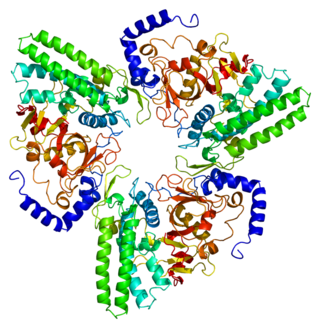 <span class="mw-page-title-main">Bleomycin hydrolase</span> Protein-coding gene in the species Homo sapiens