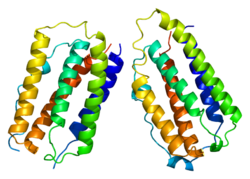 Protein IFNB1 PDB 1au1.png