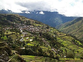 <span class="mw-page-title-main">Punchao District</span> District in Huánuco, Peru