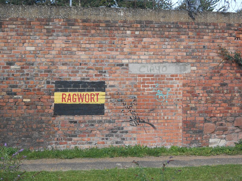 File:Ragwort sign on the Leeds and Liverpool canal.jpg