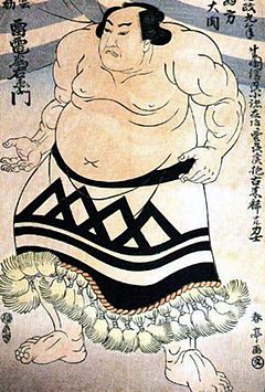 Raiden Tameemon: Primeros años, Carrera profesional en el sumo, Retiro del sumo