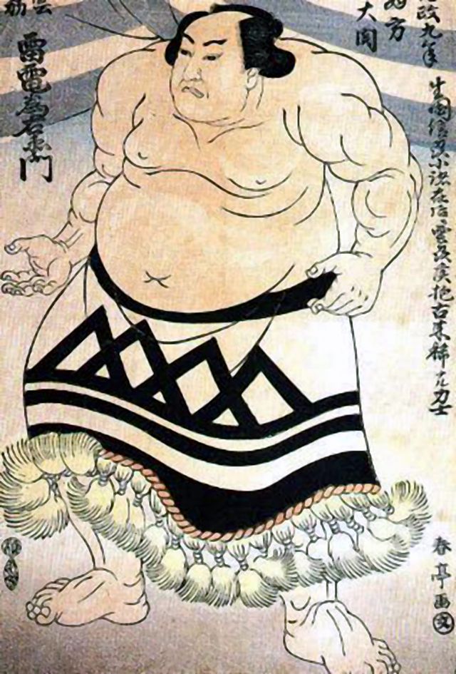 Raiden Shogun - Wikipedia