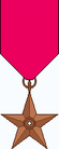 Raspberry medal.png