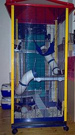 Rattenkooi voor max. 5 à 6 ratten met deze inrichting. Optimaal ingericht geschikt voor 12 ratten.