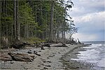 Thumbnail for Rathtrevor Beach Provincial Park