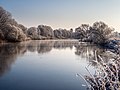 * Nomination Trees on the Regnitz between Pettstadt and Bamberg covered with hoarfrost --Ermell 06:17, 8 June 2018 (UTC) * Promotion  Support Good quality. --Basotxerri 15:21, 8 June 2018 (UTC)