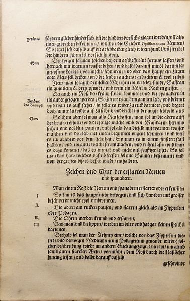 File:Ruel Von mancherley Gebrechen I 162.jpg