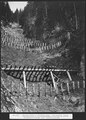 Roneboden-Stotzigzug, Gemeinde Silenen, Schneebrücken mit Pfahlreihen, 1914