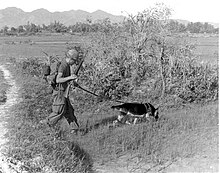 SP4 Bealock and scout dog Chief.jpg