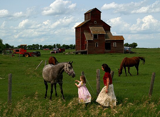 Une fillette accompagnée de sa mère nourrissant un cheval dans une ferme de la Saskatchewan, au Canada. En arrière-plan, un petit élévateur à grain. (définition réelle 1 824 × 1 342)