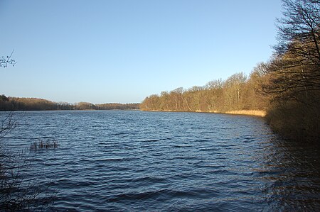 Schierensee