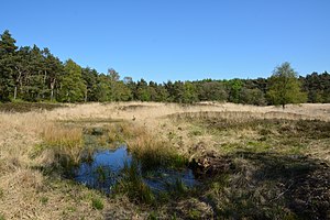 Schleswig-Holstein, Gudendorf, Landschaftsschutzgebiet NIK 5889.jpg