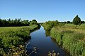 Die Hörnerau, in anderen Karten auch als Randkanal bezeichnet, bildet die Grenze zwischen Wittenbergen und Auufer.