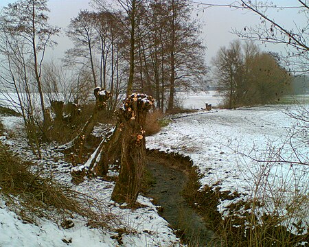 Schlingenbach Dassel 2013