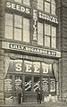 Seattle - Lilly Bogardus Seeds - 1900.jpg