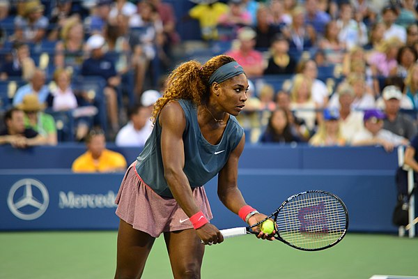 Serena Williams finished the year as world No. 1 for the third time in her career. She won eleven tournaments during the season, including two majors 