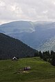 Sheep-folds on shoulder of the Farcău Massif in Maramureş Mountains, Romania.