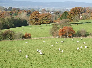 Oreton, Shropshire Human settlement in England