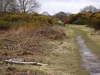 <span class="mw-page-title-main">Ipswich Heaths</span>