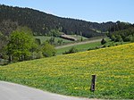 Landschaftsschutzgebiet Sitterbach- und Kittmecketal östlich Olsberg