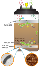 A soil-based MFC SoilMFC.png