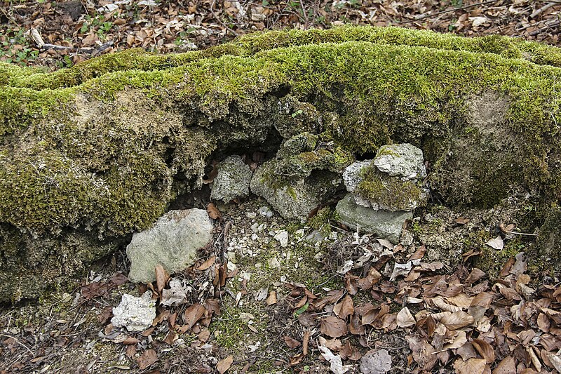 File:Steinerne Rinne Hechlingen 04.jpg