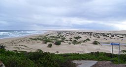 Stockton Beach i Anna Bay.