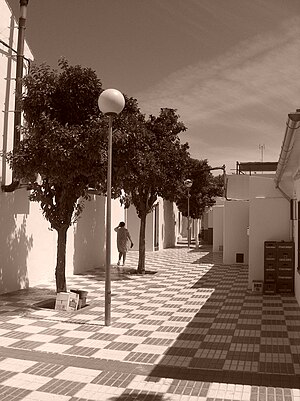 Strada di Marinaleda, Andalusia (Spagna).jpg