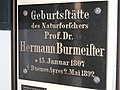 Gedenktafel für Hermann Burmeister in Stralsund