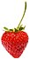 Strawberry444.jpg