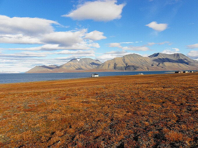 Svalbard tundra