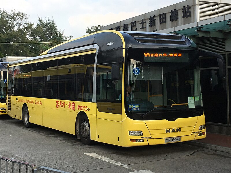File:TF8041(08) Lok Ma Chau – Huanggang Cross-boundary Shuttle Bus Service 08-10-2017.jpg