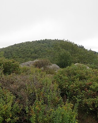 <span class="mw-page-title-main">Gap Mountain</span>