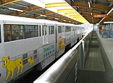 駅に停車中のライオンのイラストが描かれた1000系（2008年11月）