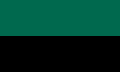 Green and black flag of texel