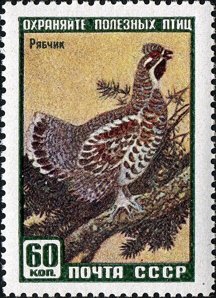 File:The Soviet Union 1959 CPA 2329 stamp (Hazel Grouse).jpg