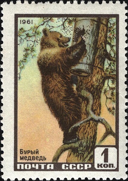 File:The Soviet Union 1961 CPA 2535 stamp (Brown Bear).jpg