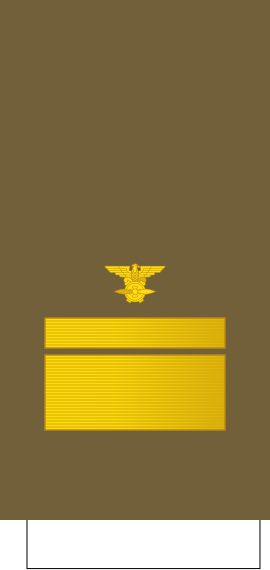 File:Tiwan-AirForce-OF-3 (1928).svg