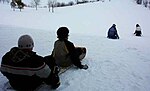 Vignette pour Toboggan (traîneau)