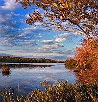 Red and yellow foliage in the right foreground, with a smooth lake reflecting the distant forest and partly cloudy sky