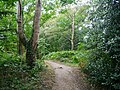 The Bronze Age bowl barrow at Millpond Wood in Sevenoaks. [140]