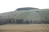 Trees atop of White Sheet Hill - geograph.org.uk - 353417.jpg